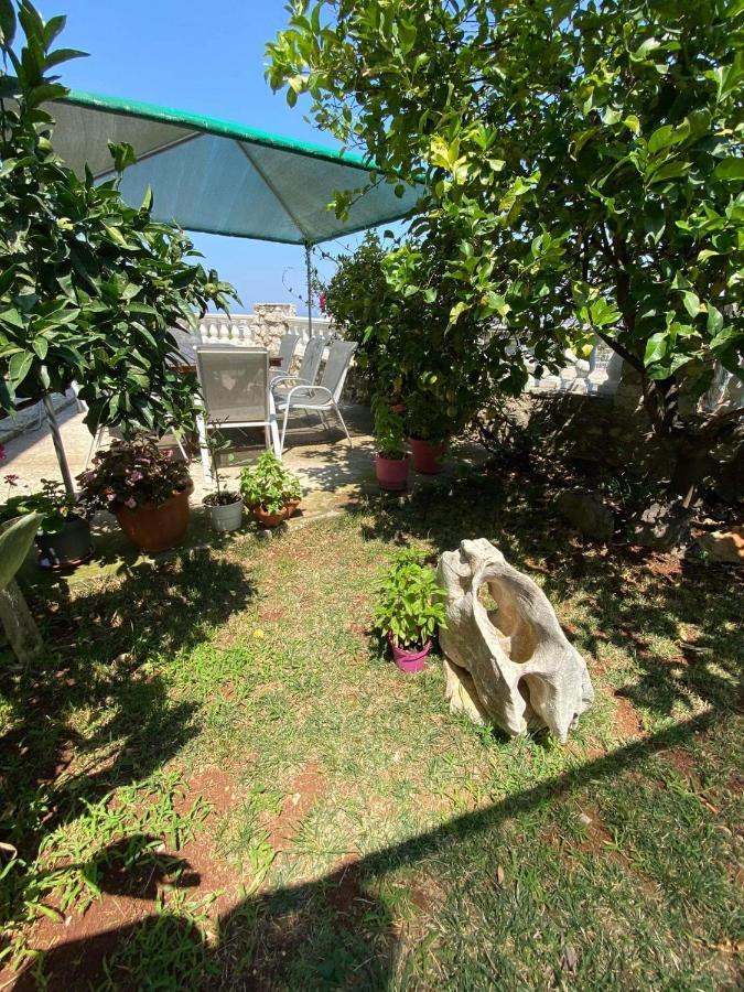 Vila Mare Mateo 卡萨米尔 外观 照片